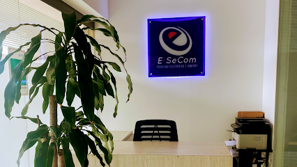 E-SeCom - Seguridad Electrónica Y Comfort