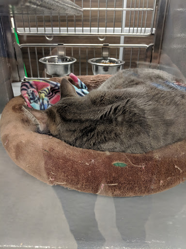 Pet Store «PetSmart», reviews and photos, 17150 Ventura Blvd, Encino, CA 91316, USA