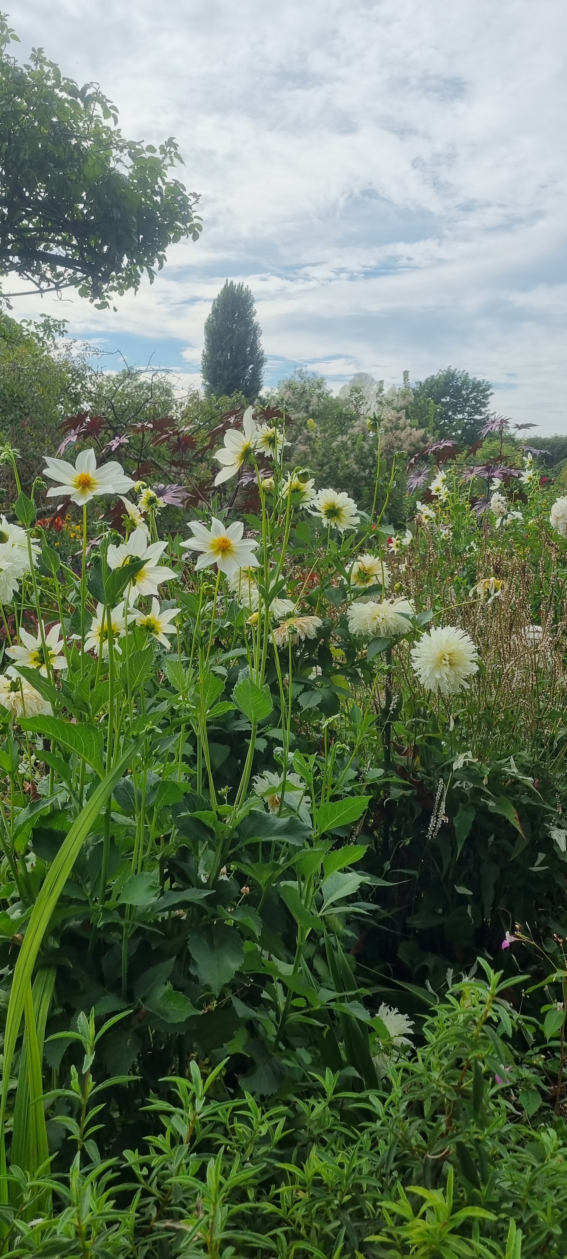 Photo n° 8 de l'avis de Kelly.a fait le 17/09/2023 à 21:00