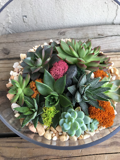 Wholesale Florist «Urban Jungle», reviews and photos, 2603 Sherman Ave NW, Washington, DC 20001, USA