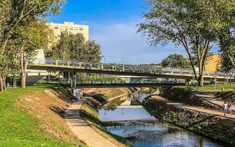 Parque do Choupal image