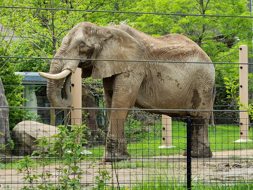 Cleveland Zoological Society