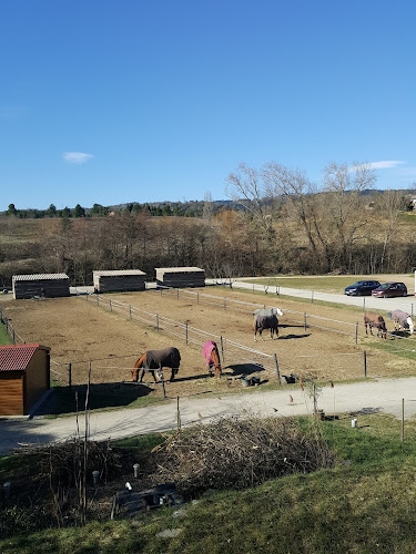 CENTRE EQUESTRE PONEY CLUB LES KIWIS à Saint-Étienne-de-Fontbellon