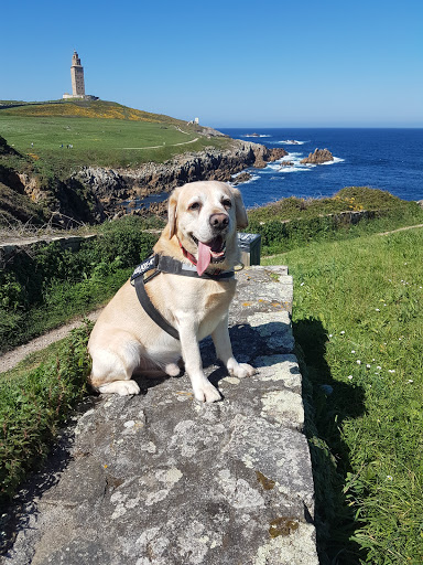 Clínica Veterinaria Otter en Lugo