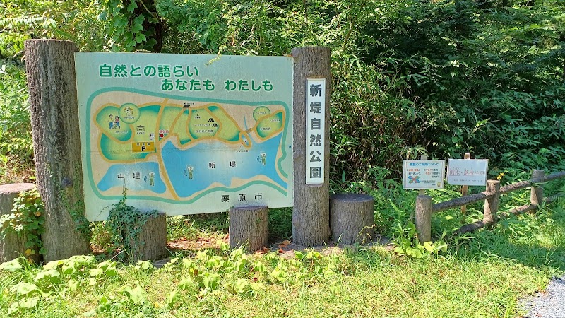 高清水新堤自然公園