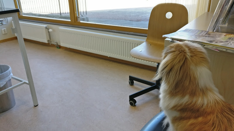  i Östra Eriksbergsgatan 12, 417 60 Göteborg