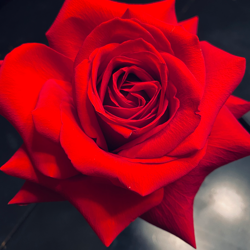 Florist «Petals of Love», reviews and photos, 5350 W 130th St, Brook Park, OH 44142, USA