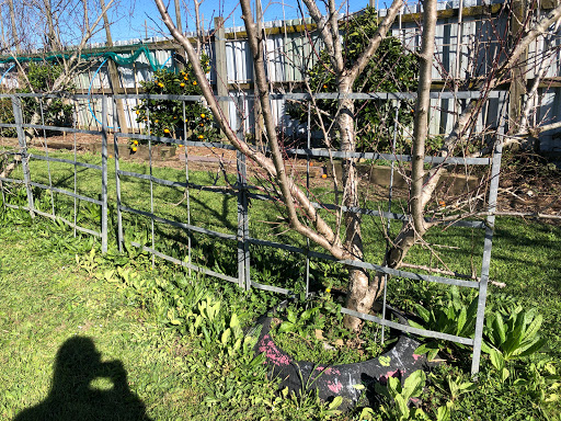 Auckland Teaching Gardens