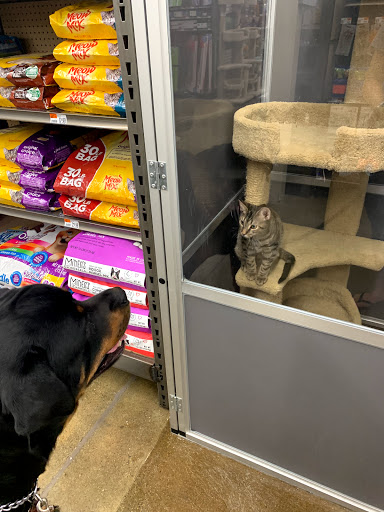 Pet Supply Store «Pet Supplies Plus», reviews and photos, 375 Paterson Ave #105, Wallington, NJ 07057, USA