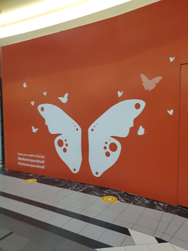 Computer Store «Apple Solomon Pond Mall», reviews and photos, 601 Donald Lynch Blvd, Marlborough, MA 01752, USA