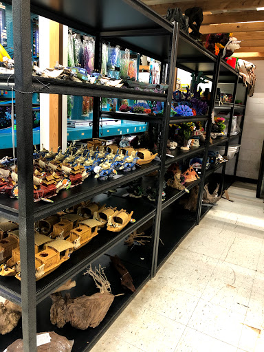 Pet Store «Aqua World Pet Super Center», reviews and photos, 8143 Ohio River Blvd, Pittsburgh, PA 15202, USA