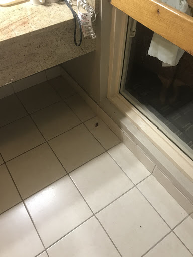 Hotel «Clarion Inn And Summit Center», reviews and photos, 852 N Gloster St, Tupelo, MS 38804, USA