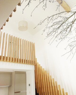 atelier canabae - architecte spécialiste pisé à Lyon