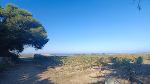 Photo n°47 de Le Comptoir des Compagnons à Villeneuve-lès-Maguelone ()