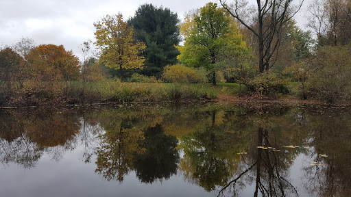 Nature Preserve «Beaver Meadow Audubon Center», reviews and photos, 1610 Welch Rd, Java Center, NY 14082, USA