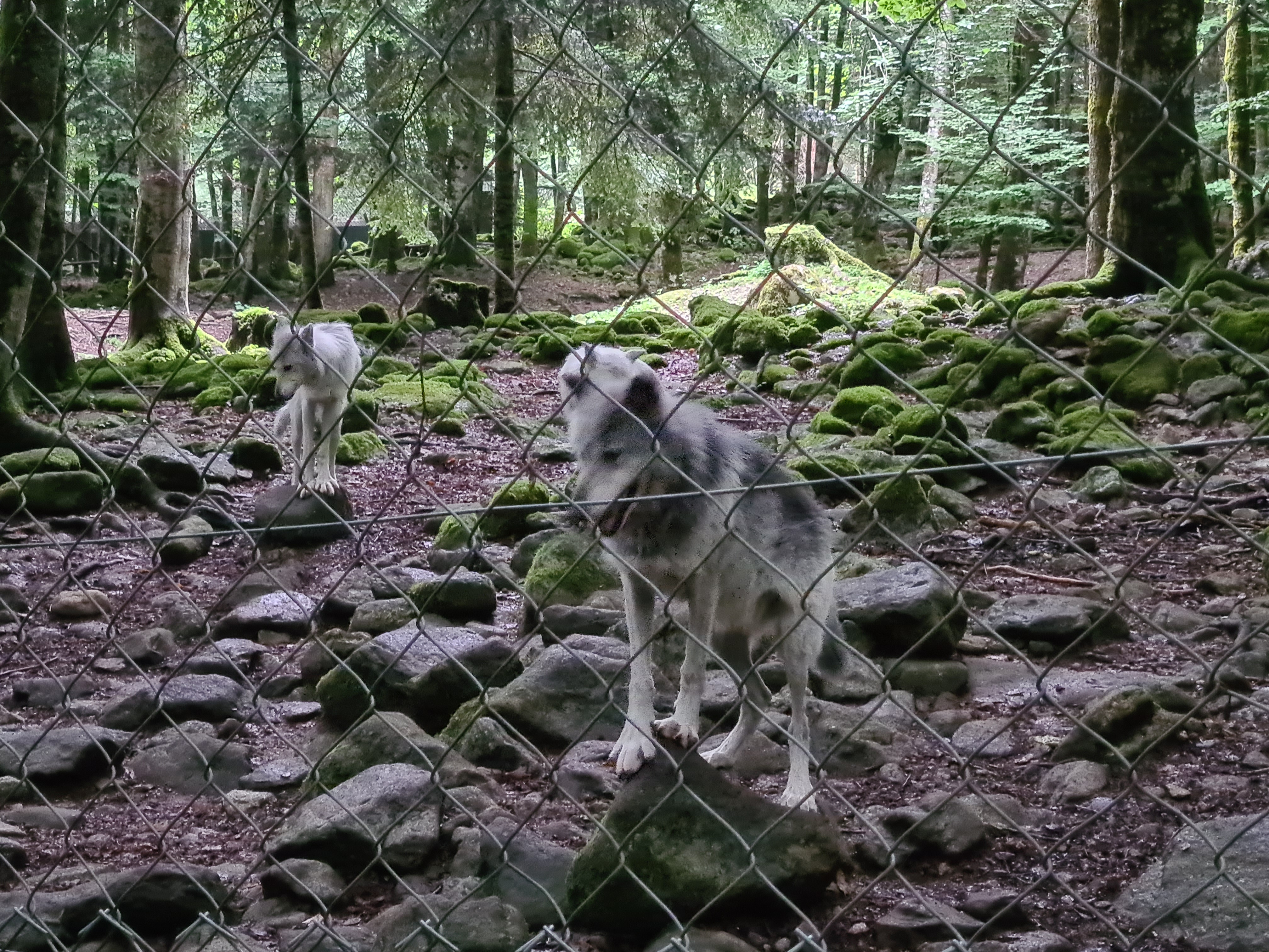 Photo n° 1 de l'avis de Aurélien.r fait le 10/08/2022 à 22:43