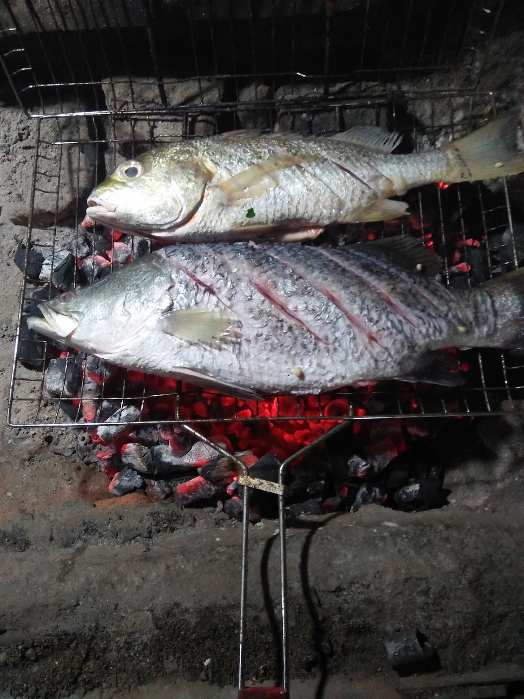 Warung Ikan Bakar Khas Manado