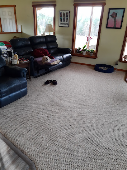 Fresh Look Carpet, Upholstery & Duct Cleaning ( Formerly Sears)