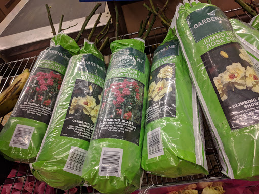 Supermarket «ALDI», reviews and photos, 7777 Seminole Blvd, Seminole, FL 33772, USA