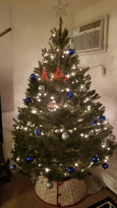 Granny D's Christmas Trees
