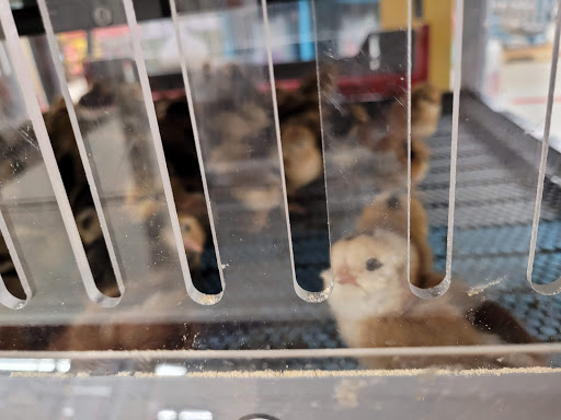 Home Improvement Store «Tractor Supply Co.», reviews and photos, 23741 US-59 #41, Porter, TX 77365, USA