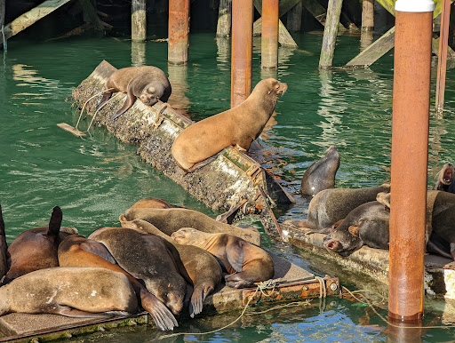 Coffee Shop «Bayscapes Gallery & Coffee house», reviews and photos, 333 SW Bay Blvd, Newport, OR 97365, USA