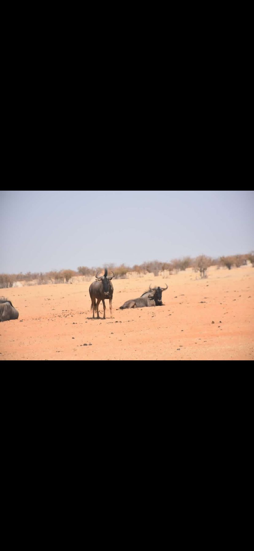 Photo n° 13 de l'avis de David.e fait le 21/03/2024 à 10:03