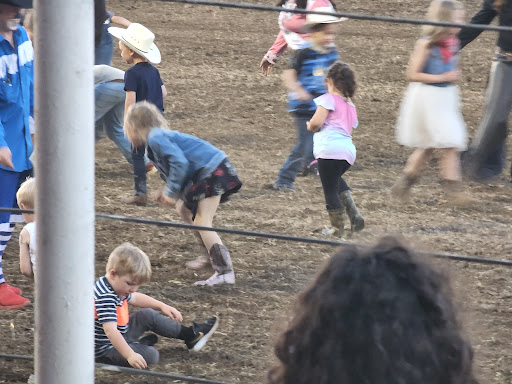 Rodeo «Molalla Buckeroo Association», reviews and photos, 815 Shirley St, Molalla, OR 97038, USA