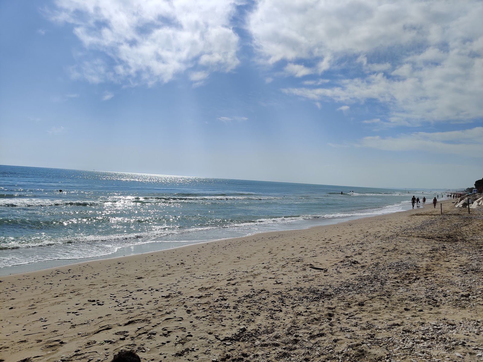 Photo de Spiaggia Pineto - bon endroit convivial pour les animaux de compagnie pour les vacances