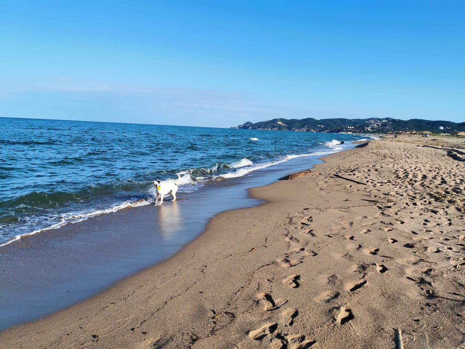 Foto von Fonollera Strand mit langer gerader strand