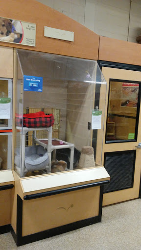 Pet Supply Store «PetSmart», reviews and photos, 12046 Paul Mayer Ave, Bridgeton, MO 63044, USA