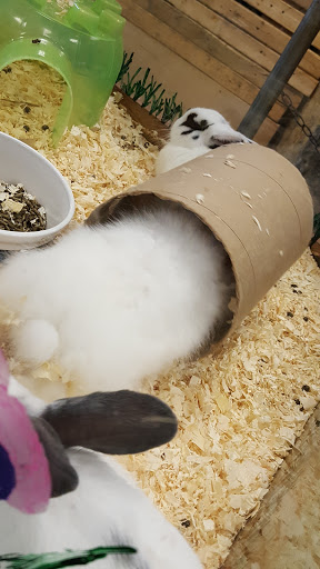 Pet Supply Store «Pure Paradise Pets», reviews and photos, 39 Putnam Pike, Johnston, RI 02919, USA