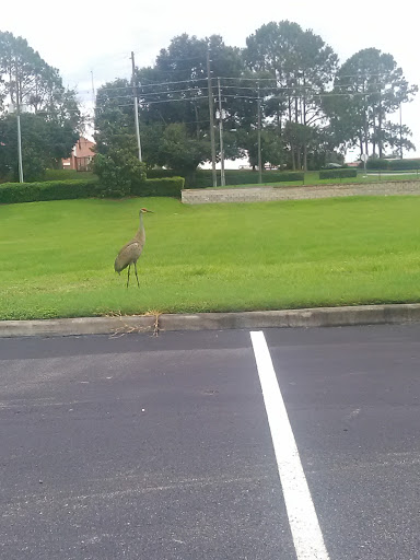 Pet Supply Store «Pet Supermarket», reviews and photos, 7822 Gall Blvd, Zephyrhills, FL 33541, USA