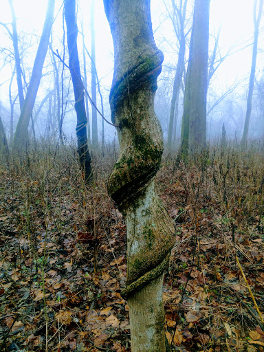 Nature Preserve «Kelley Nature Preserve», reviews and photos, 297 OH-126, Loveland, OH 45140, USA