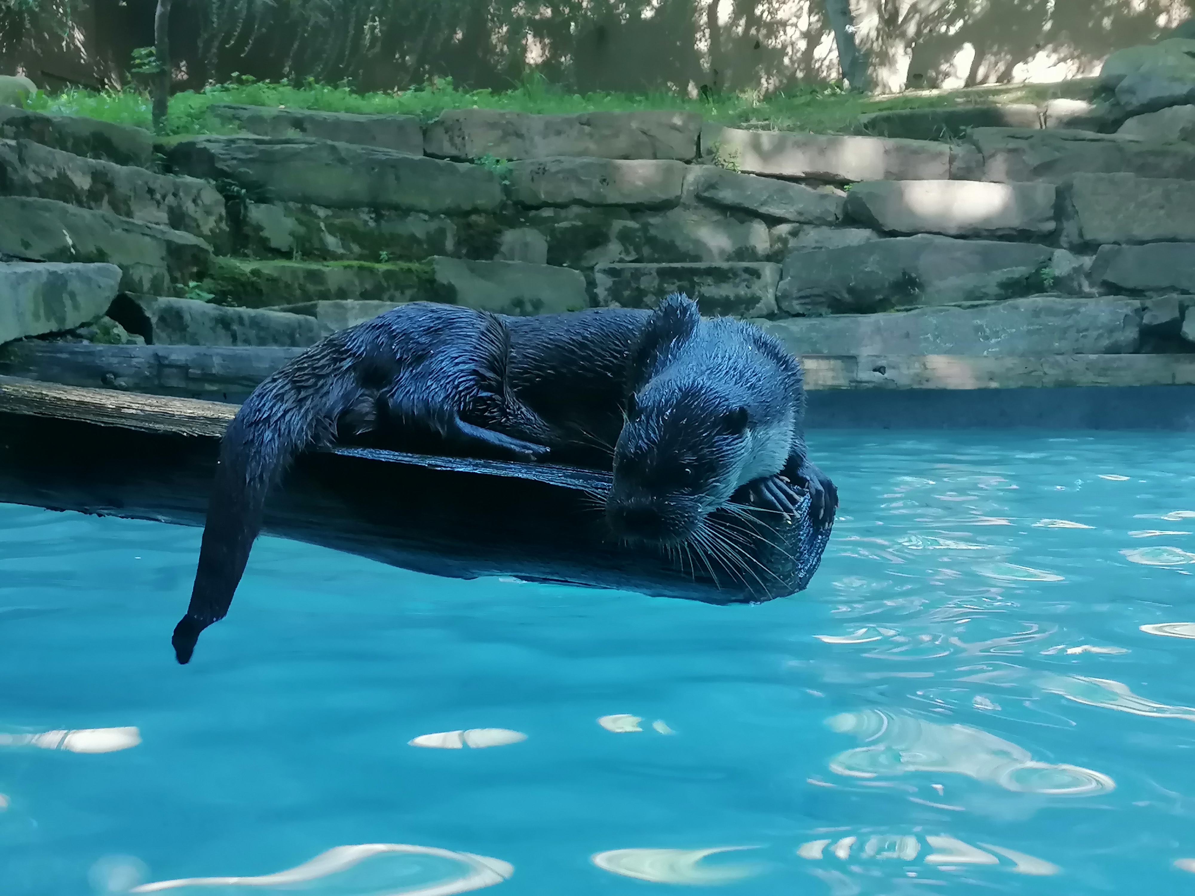 Photo n° 26 de l'avis de Gilles.. fait le 23/08/2023 à 12:57