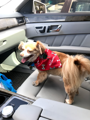 Pet Supply Store «PetSmart», reviews and photos, 2435 NW Federal Hwy, Stuart, FL 34994, USA