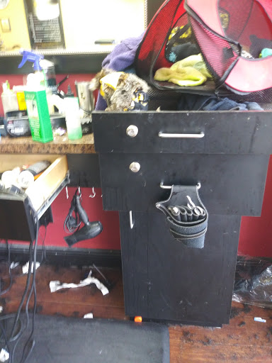 Barber Shop «Fade Masters Barbershop 2», reviews and photos, 11612 N Nebraska Ave, Tampa, FL 33612, USA