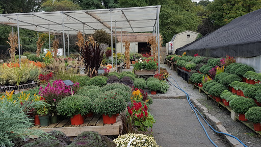 Carlson Florist, 625 Dobbs Ferry Rd, White Plains, NY 10607, USA, 