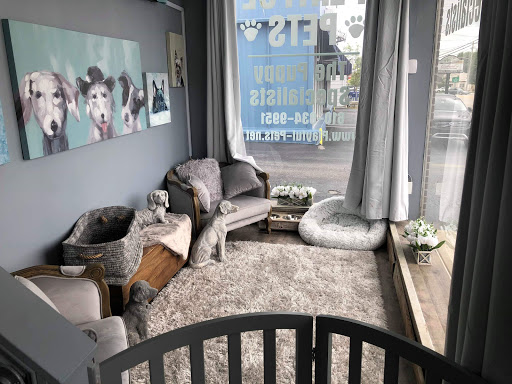 Dog Breeder «Playful Pets», reviews and photos, 115 Ridge Pike, Conshohocken, PA 19428, USA