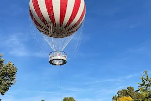 BalloonFly image