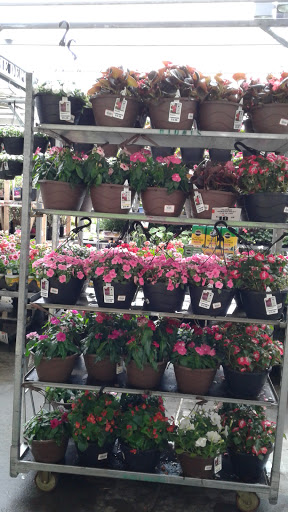 Home Improvement Store «The Home Depot», reviews and photos, 99 State Route 17 North, Lodi, NJ 07644, USA