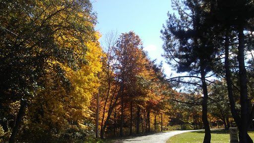 Park «Edgewood Park», reviews and photos, Edgewood Ave, New Haven, CT 06511, USA