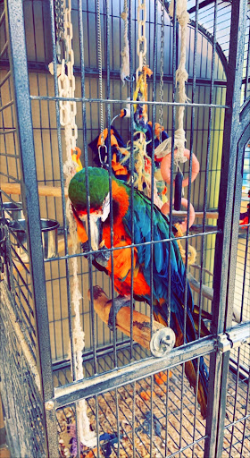 Pet Store «Perfect Pets», reviews and photos, 6840 S University Blvd #410, Centennial, CO 80122, USA