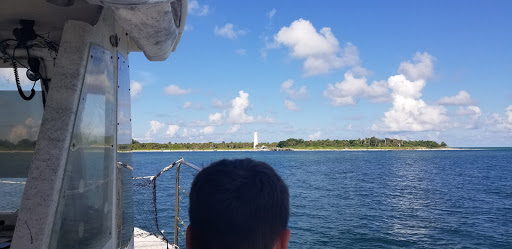 Boat Tour Agency «Dolphin Snorkeling Cruise», reviews and photos, 4630 29th Ave S, Gulfport, FL 33711, USA