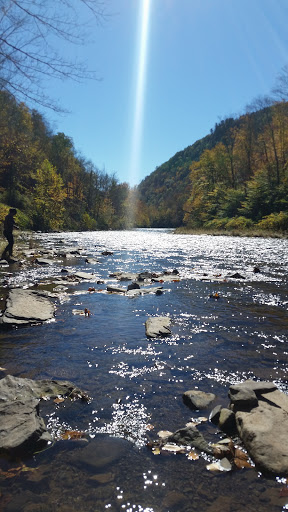 Tourist Attraction «PA Grand Canyon», reviews and photos, Rte 6, Wellsboro, PA 16901, USA