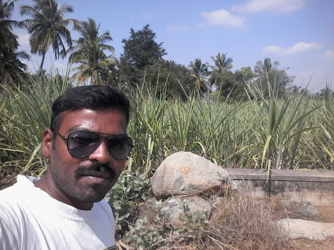 Praba Painter