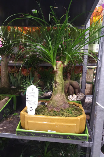 Shopping Mall «Seaview Square Shopping Center», reviews and photos, 1000 NJ-66, Ocean Township, NJ 07712, USA