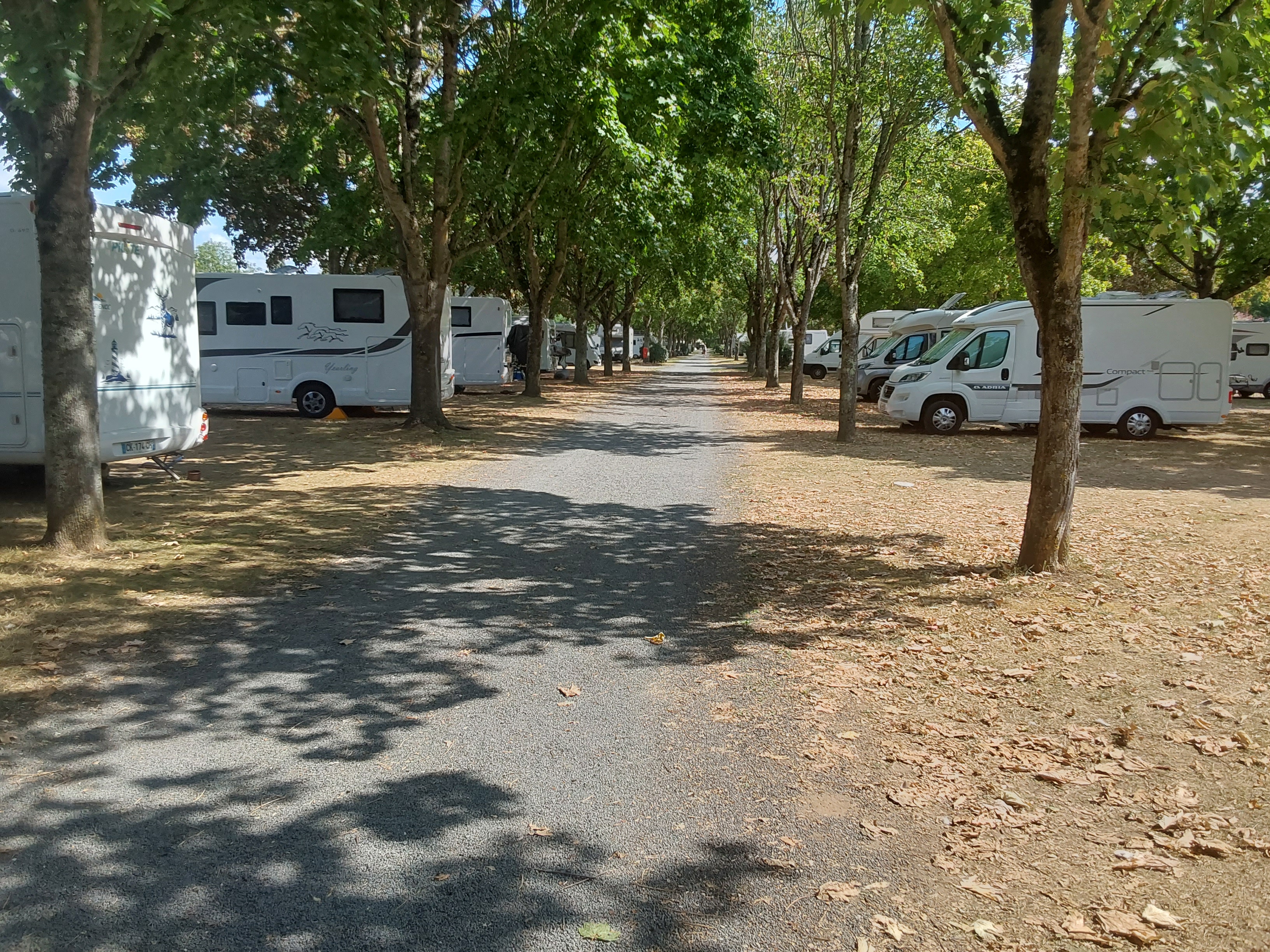 Photo n° 2 de l'avis de Bernard.o fait le 30/08/2022 à 17:11