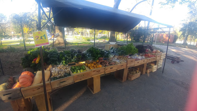 Feria Orgánica del Parque Rodó - Ciudad del Plata