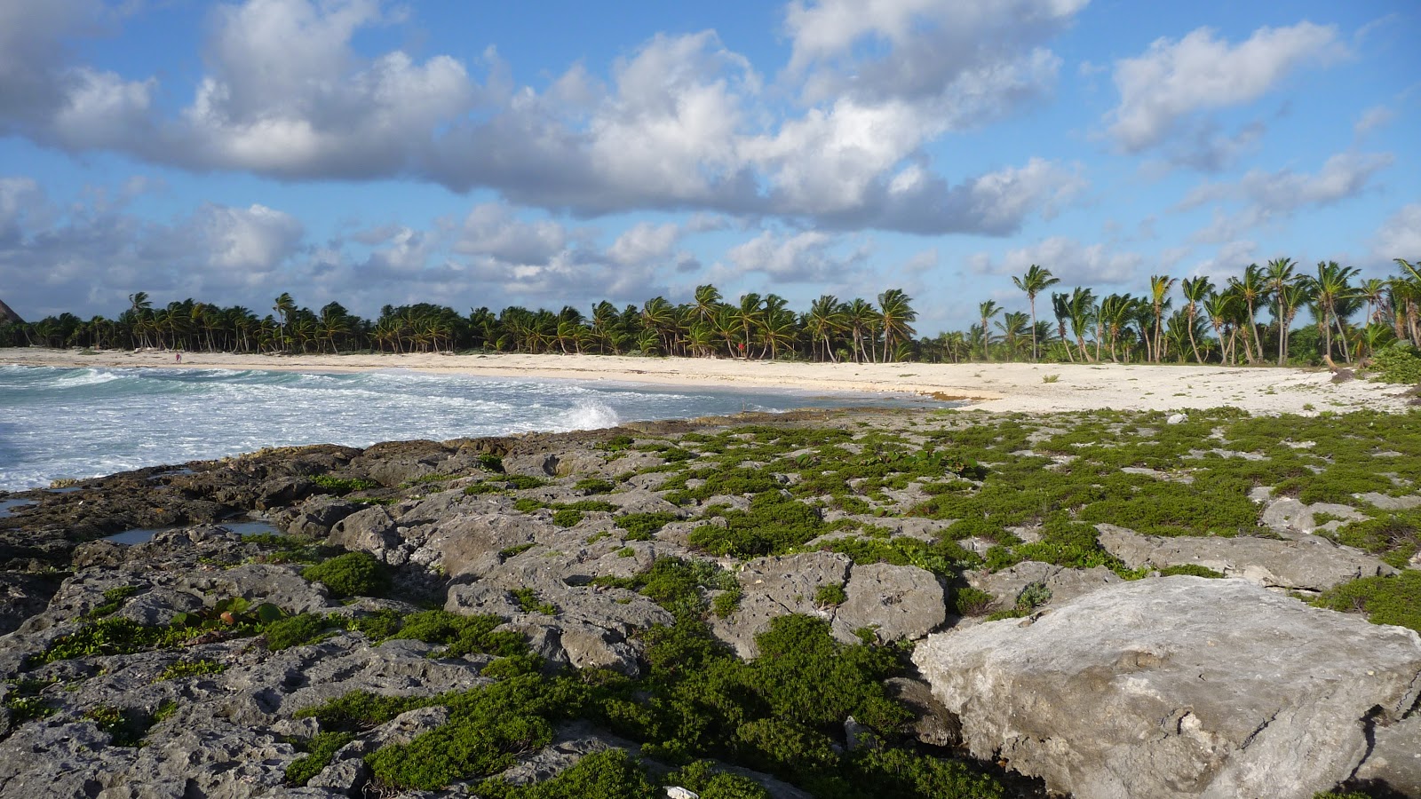 Photo of Santa Martha beach with very clean level of cleanliness